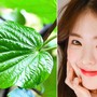 Bí quyết trị mụn bằng lá lốt hiệu quả bất ngờ