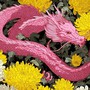 Càng trưởng thành càng quyến rũ: 5 con giáp qua tuổi 40 vẫn đẹp mặn mà