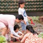 Tuấn Hưng khéo dạy con