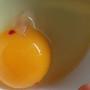 Lòng đỏ trứng gà có đốm máu ăn được không?