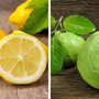 Ổi và chanh, loại quả nào chứa nhiều vitamin C hơn? Kết quả khiến nhiều người bất ngờ