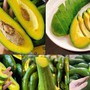 Tiểu thương ‘mách’ người tiêu dùng cách phân biệt bơ non và bơ già chỉ nhờ vào những chi tiết nhỏ này