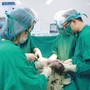 Hiếm gặp: Người phụ nữ Hà Nội mang tam thai tự nhiên, 1 bánh rau, 3 buồng ối