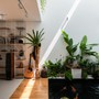 Cách duy trì không gian sống sạch đơn giản và hiệu quả tại nhà