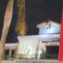 Cảnh sát dùng xe thang cứu người đàn ông có biểu hiện bất thường trên mái nhà 3 tầng