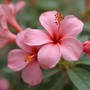 Tháng sinh Âm lịch của người có cuộc đời bình lặng nhưng 'thắng lớn' ở hậu vận