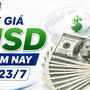 Tỷ giá USD hôm nay 23/7: USD 'hạ nhiệt' trong ngân hàng, chợ đen đứng yên giữa lúc DXY giữ 101 điểm