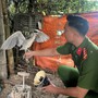 Kiểm tra đột xuất nhà dân, công an phát hiện nuôi, nhốt trái phép động vật hoang dã