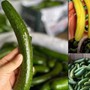 Loại bơ tí hon, có giá cao gấp 5 lần bơ thường nhưng vẫn được người tiêu dùng thi nhau đặt hàng