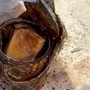 Phát hiện cọc tiền bí ẩn ở nơi không ngờ nhất trong nhà, cặp vợ chồng ngỡ ngàng khi kiểm đếm