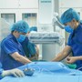 Người phụ nữ 68 tuổi bị đột quỵ 2 lần trong chưa đầy 24 giờ vì cục máu đông 'đổi hướng'