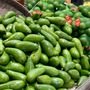 Tiểu thương bật mí cách chọn bơ chín đều, dẻo mịn, không sợ đắng