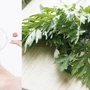 Cách trị mụn bằng ngải cứu hiệu quả an toàn không để lại vết thâm