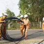 Lịch cúp điện Tây Ninh từ ngày 11 - 16/8/2026: Cúp điện 10 tiếng/ngày nhiều khu dân cư để phục vụ sửa chữa