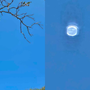 UFO bí ẩn treo lơ lửng trên trời suốt 6 giờ, nhân chứng nói “chắc chắn không phải khinh khí cầu”