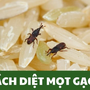 Bí quyết để mối mọt "né xa" gạo giúp gạo ngon cả năm không phải ai cũng biết
