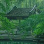 Tháng sinh Âm lịch của người có 'cái đầu lạnh': Gặp biến cố vẫn bình tĩnh biến nguy thành an