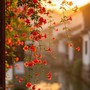 Số cuối ngày sinh Âm lịch của người vừa giỏi làm ăn vừa khéo giữ lửa gia đình