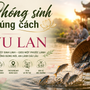 Phóng sinh mùa Vu Lan 2026: Cứ mua con vật rồi thả có thực sự là tốt?  
