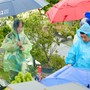 Xúc động những cụ bà Hà Nội 'đội' mưa vượt gần 100 km đến nghĩa trang để thực hành lễ Vu Lan