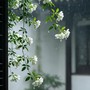Số cuối ngày sinh Âm lịch của người trí tuệ, bản lĩnh, càng va vấp càng dễ bật lên