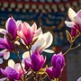 Giờ sinh Âm lịch của người hậu vận vượng, về già cực phú quý