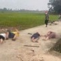 Hà Nội: Thông tin 4 người bị sét đánh tử vong là không chính xác