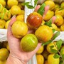 Hương vị của hồng táo tươi có gì đặc biệt mà khiến nhiều người tiêu dùng ‘đam mê’ đến vậy?