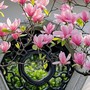 Giờ sinh Âm lịch của người có hậu vận an nhàn, sung túc