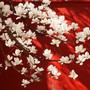 Ngày sinh Âm lịch của người trẻ tuổi đã thành công, hậu vận đủ đầy