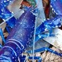Hai cha con bắt được con tôm hùm có màu xanh cực hiếm