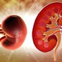 4 thói quen buổi tối làm tăng nguy cơ suy thận, người Việt thay đổi càng sớm càng tốt