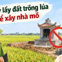 Tự ý lấy đất trồng lúa để xây nhà mồ