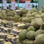 Sầu Black Thorn và Musang King có gì đặc biệt mà cả hai đều có giá 'siêu' đắt trên thị trường?