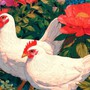 3 con giáp nữ không cần đẹp vẫn khiến đàn ông thương nhớ