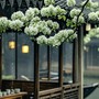 Số cuối ngày sinh Âm lịch của người càng về già càng nhiều phúc lộc
