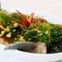 Loại gia vị phổ thông xuất hiện trong các món chua nhưng 4 nhóm người này cần cân nhắc