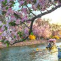 Ngày sinh Âm lịch của người khôn ngoan, sắc sảo