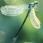 Giờ sinh Âm lịch của người khéo đối nhân xử thế, sự nghiệp thường có người giúp