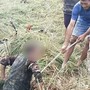 Cụ ông 70 tuổi rơi xuống giếng sâu 5m, kiệt sức sau nhiều giờ nhưng vẫn sống sót thần kỳ nhờ một thứ