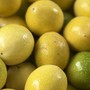 Loại chanh vỏ vàng óng, có hương thơm của ổi đang được chị em thi nhau 'săn đón' trên thị trường