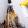 4 mẹo xử lý chống ẩm mốc tường, sàn nhà sau mưa vừa nhanh vừa đỡ tốn kém