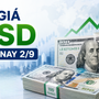 Tỷ giá USD hôm nay 2/9: Đồng Đô la Mỹ ‘chợ đen’ bán ra 26.031 đồng/USD