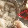 Có nên vớt bọt khi luộc thịt, hầm xương? Lớp váng nổi lên thực chất là gì?