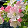 Số cuối ngày sinh Âm lịch của người sở hữu trí tuệ và ý chí đáng nể