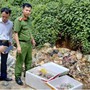 Xử lý 17 vụ vi phạm thị trường dịp Tết Trung thu