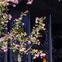 Giờ sinh Âm lịch của người có vận khí tốt, đường công danh rộng mở