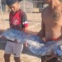 Phát hiện sinh vật dài khoảng 4m dạt vào bãi biển, chuyên gia lập tức cảnh báo một điều