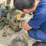 Mua chậu câu cảnh trên mạng với giá hơn 200.000 đồng, nhiều ngày sau chứng kiến cảnh tượng kinh hãi