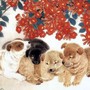 Top con giáp nam nổi tiếng chiều vợ, thương con